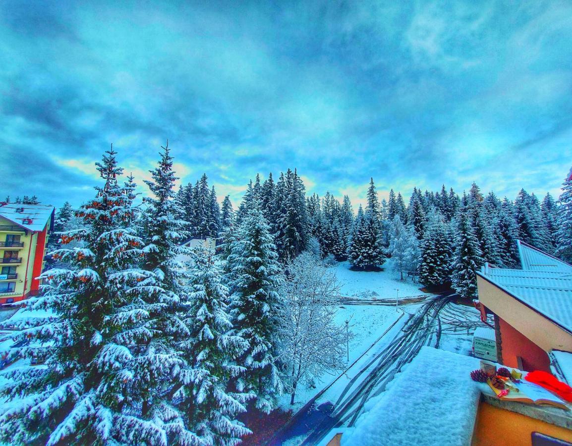 Vila Simonte Poiana Brasov Ξενοδοχείο Εξωτερικό φωτογραφία