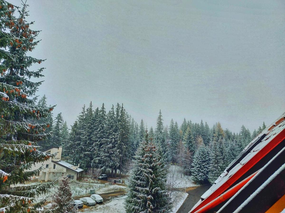 Vila Simonte Poiana Brasov Ξενοδοχείο Εξωτερικό φωτογραφία
