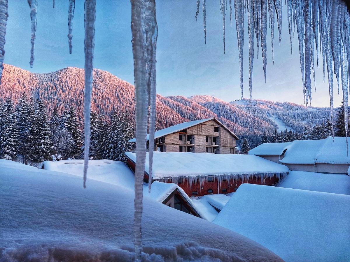 Vila Simonte Poiana Brasov Ξενοδοχείο Εξωτερικό φωτογραφία